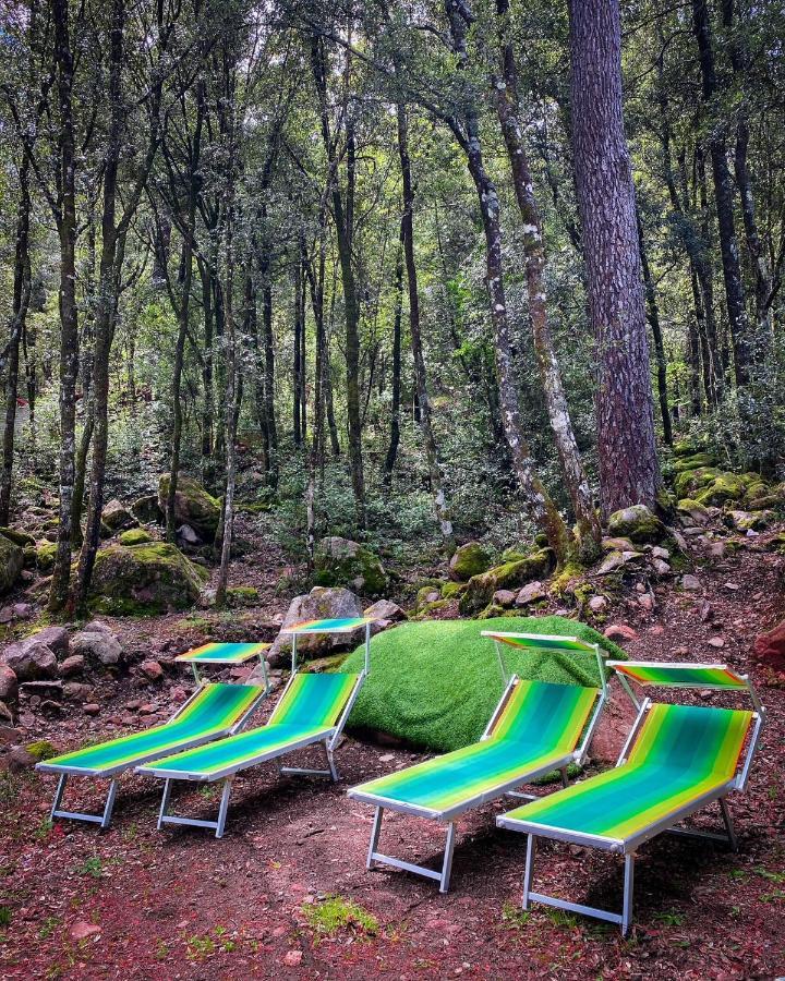 Hotel De La Foret Bonifatu Calenzana