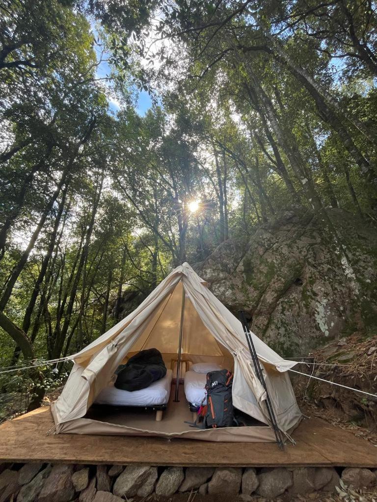 De La Foret Bonifatu Hotel